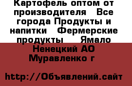 Картофель оптом от производителя - Все города Продукты и напитки » Фермерские продукты   . Ямало-Ненецкий АО,Муравленко г.